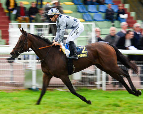 Arrivée quinté 19 mars 2024