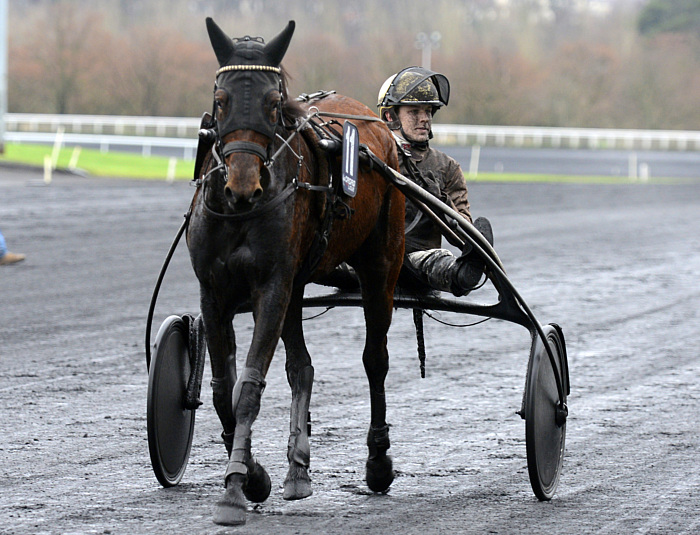 Arrivée quinté 17 avril 2024
