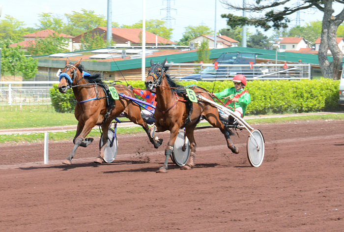 Arrivée quinté 10 avril 2024