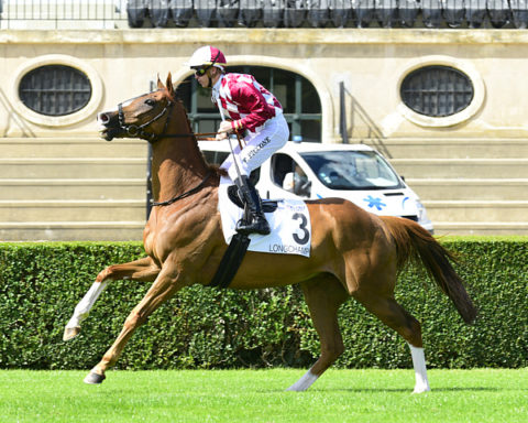 Arrivée quinté 25 avril 2024