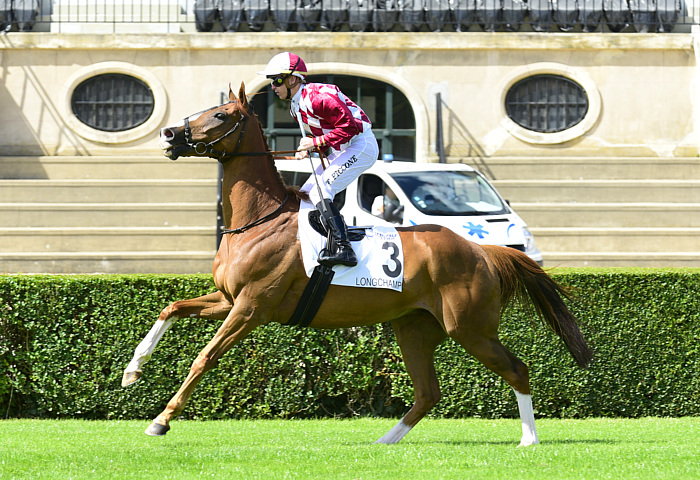 Arrivée quinté 25 avril 2024