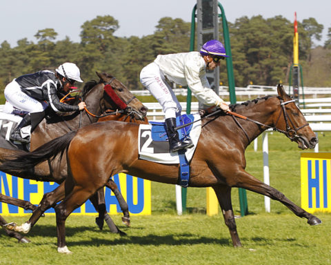 Arrivée quinté 30 avril