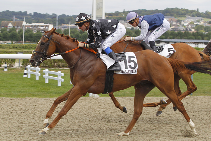 Arrivée quinté 9 avril 2024