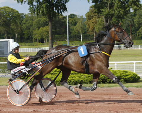 Arrivée quinté 24 avril 2024