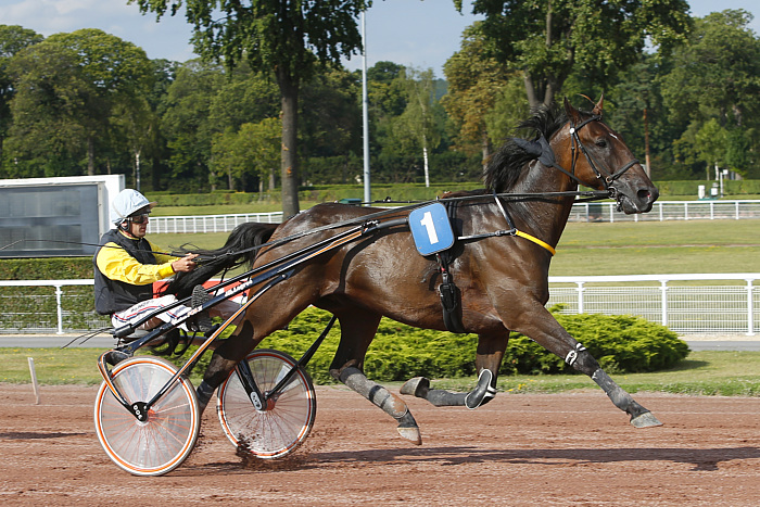 Arrivée quinté 24 avril 2024