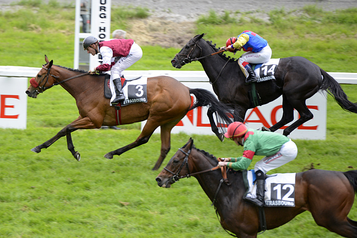 Arrivée quinté 29 mai 2024