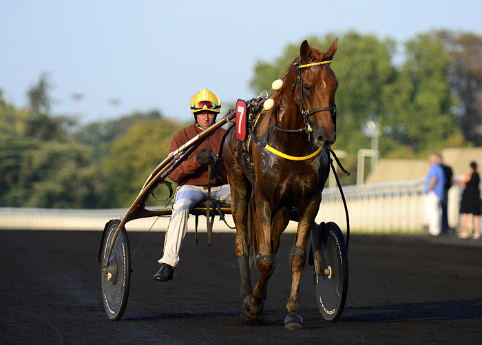 Arrivée quinté 22 mai 2024