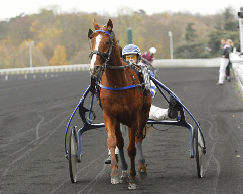 Arrivée quinté 15 mai 2024