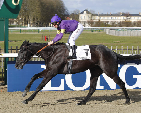 Arrivée quinté 2 mai 2024