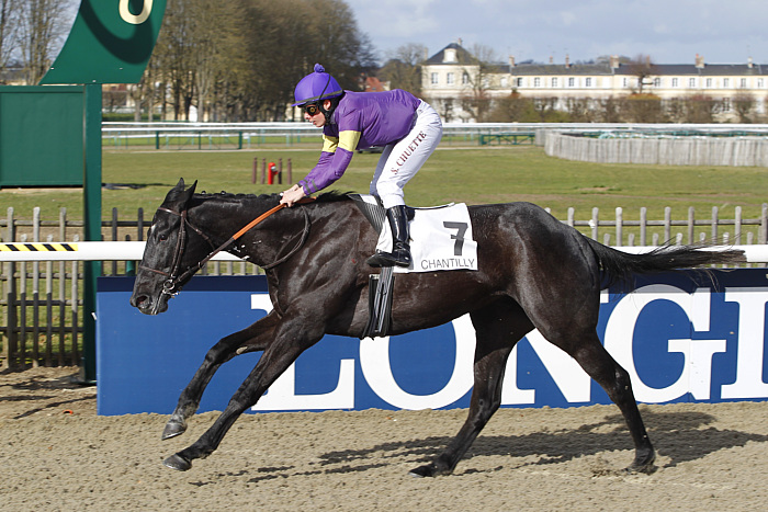 Arrivée quinté 2 mai 2024