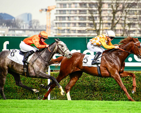 Arrivée quinté 1er mai 2024