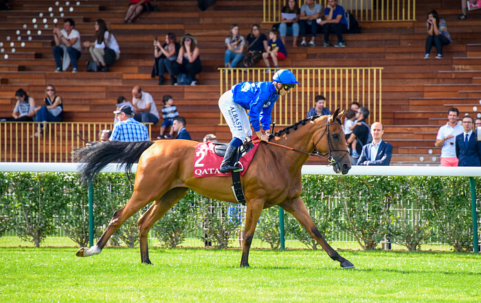Arrivée quinté 16 mai 2024