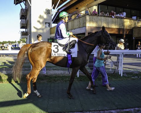 Arrivée quinté 27 juin 2024