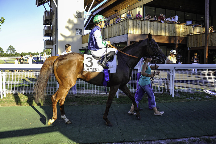 Arrivée quinté 27 juin 2024