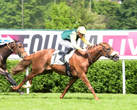 Arrivée quinté 11 juin 2024