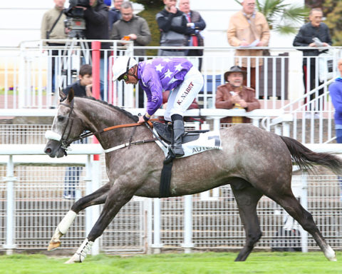 Arrivée quinté 25 juin 2024