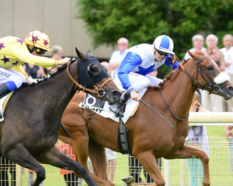 Arrivée quinté 18 juillet 2024
