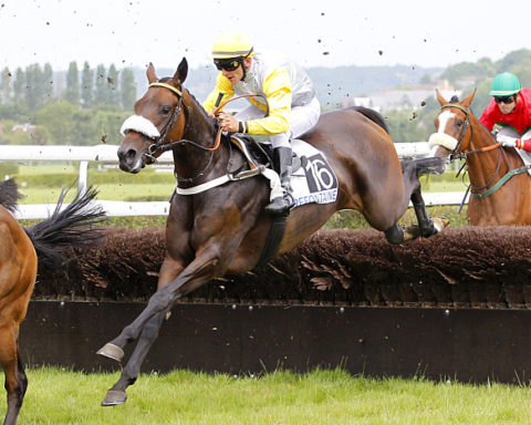Arrivée quinté 1 juillet 2024