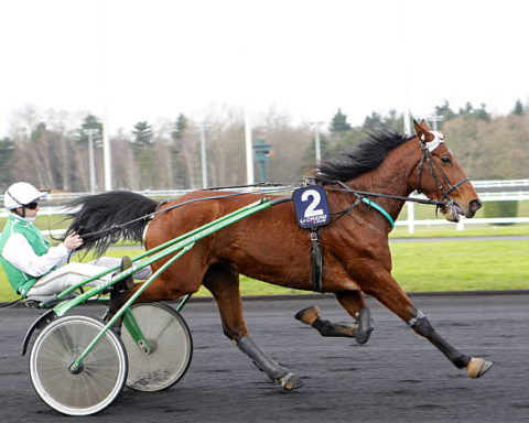 Arrivée quinté 2 juillet 2024