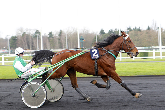 Arrivée quinté 2 juillet 2024