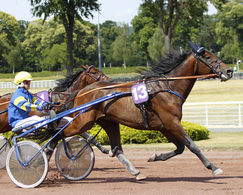 Arrivée quinté 24 juillet 2024