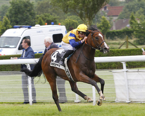 Arrivée quinté 23 juillet 2024