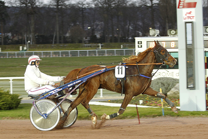 Arrivée quinté 3 juillet 2024