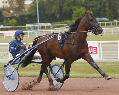 Arrivée quinté 10 juillet 2024