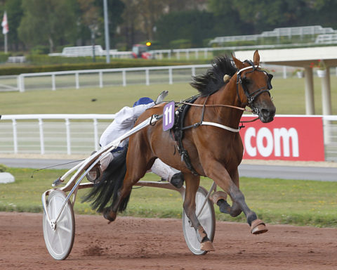 Arrivée quinté 8 juillet 2024