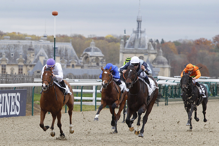 Arrivée quinté 10 décembre 2024