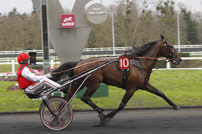 Arrivée quinté 28 novembre 2024