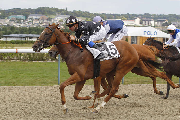 Arrivée quinté 19 décembre 2024