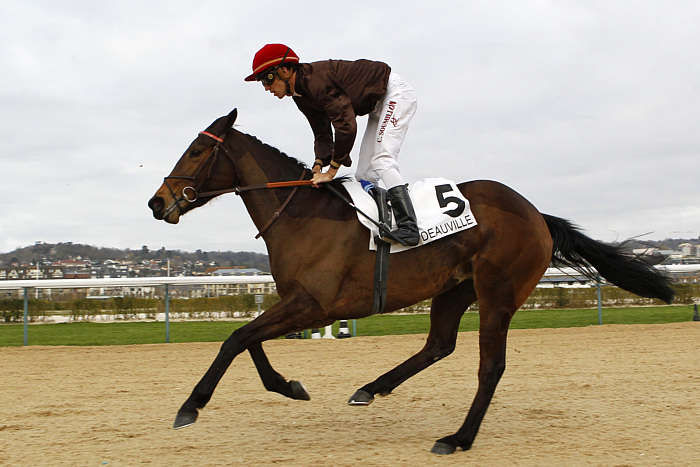 Arrivée quinté 23 décembre 2024