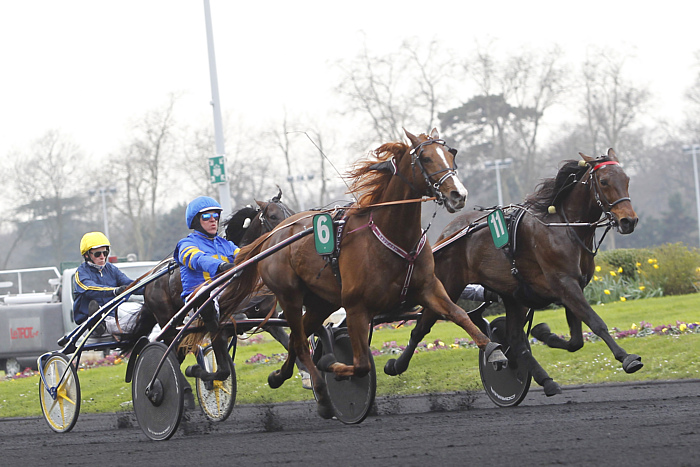 Arrivée quinté 25 décembre 2024