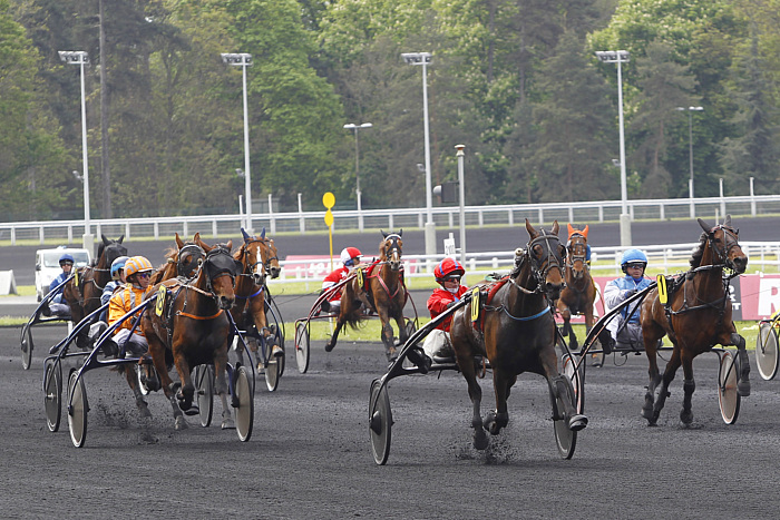 Arrivée Prix de Bourgogne -Amérique Races Q5 2025
