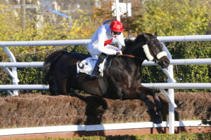 Arrivée quinté 30 décembre 2024