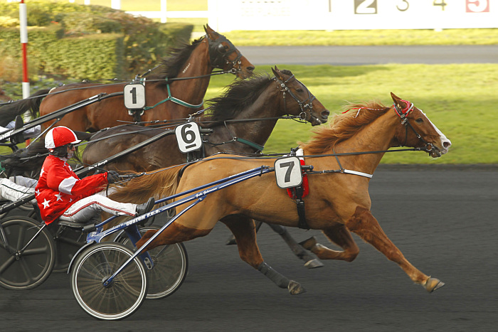 quinté 01 janvier 2025