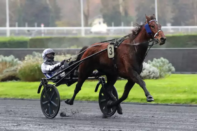 Arrivée quinté 15 décembre 2024