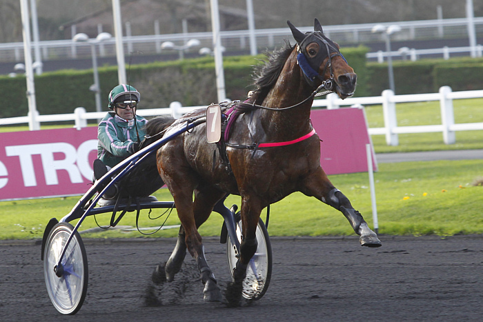 Arrivée Prix Ténor de Baune - Amérique Races Q4 2025