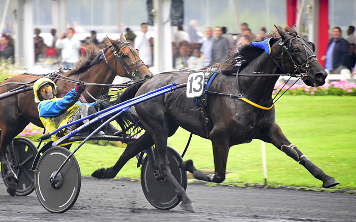 Arrivée quinté 1 janvier 2025