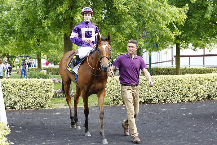 Quinté du samedi 1er février 2025 à Deauville: les pronostics