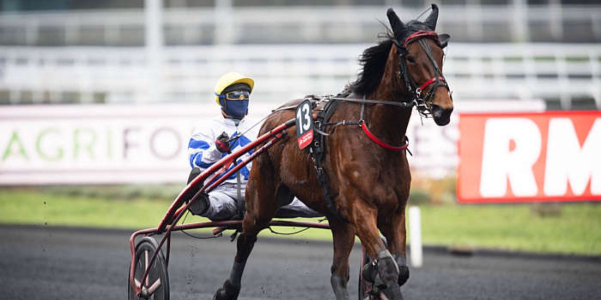Quinté du dimanche 2 février 2025 à Vincennes: les pronostics