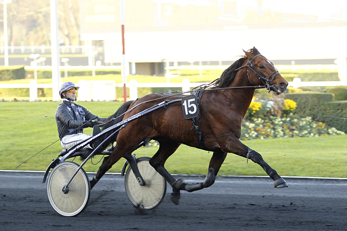 Quinté du vendredi 3 janvier 2025