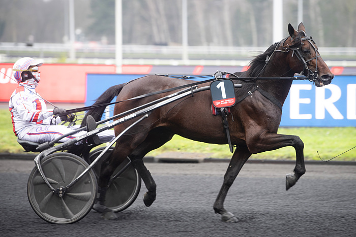 Quinté du samedi 4 janvier 2025 à Vincennes: les pronostics