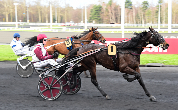 Quinté du lundi 6 janvier 2025 à Vincennes: les pronostics