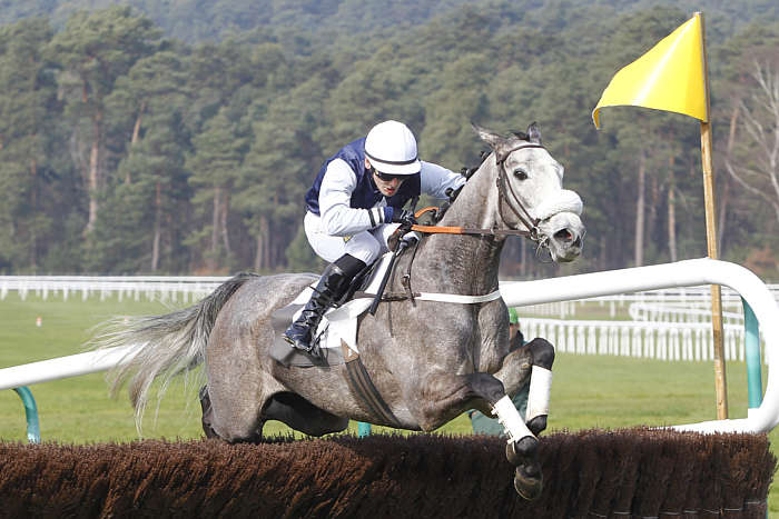 Quinté du mercredi 8 janvier 2025 à Pau: les pronostics