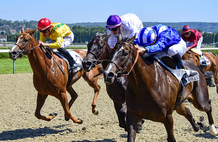 Quinté du vendredi 17 janvier 2025 à Deauville: les pronostics