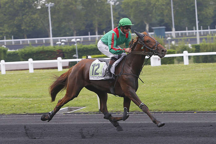 Quinté du dimanche 19 janvier 2025 à Vincennes: les pronostics