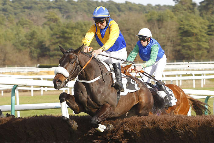 Quint Mardi 21 Janvier 2025 Pau Pronostics TURF FR