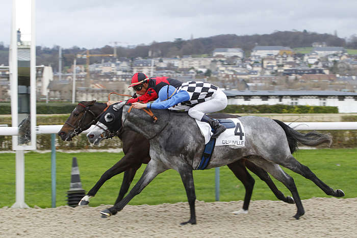 Quinté du vendredi 24 janvier 2025 à Deauville: les pronostics